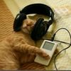 NIC 🎧
