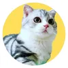 Reviu Chất