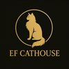 ccathouse.jakarta