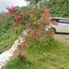 ratna92200
