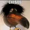 lupukaa