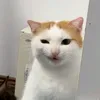 il1mq
