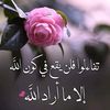 boody9842