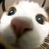 trixie_castillo143