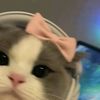 iluvv_riikii