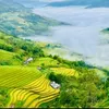 thanh.huyn277