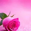 user9097112884386