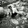 hamzamusa455