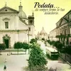 Concetta Pedata