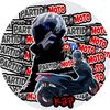 Kap Moto