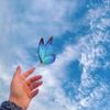 asmaa.nabil105