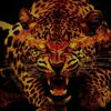 user38194610812965