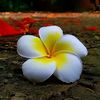 aspiyaislam8