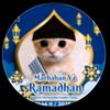 pp kucin ramadhan 2025