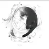 ks_m.w.d