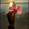 vickee_6