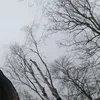 marko_milinic