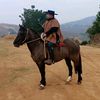 ftapia31_