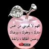 hamid.sedigh