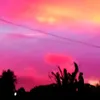 user86102214436