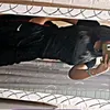 aif.szeb