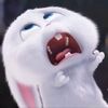 rabbitmangapp