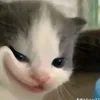 l.thi.thip