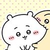 cat_lover.847