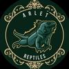 arlet_reptiles