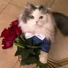 loxanka