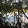 trngconnamnh