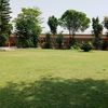 junaidafridi719