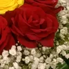 user51618739181114