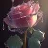 aeezn2