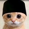 pp kucing ramadhan