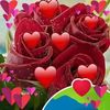 user8179178695204