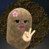 zzzena_4