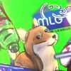 dash_754