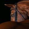 heidibent_photography