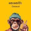 Cocoa