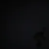 wwewwwwwwww_39