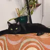 fernanda_019