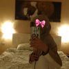 natay0410