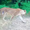 good.nature1