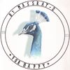 دعوات إلكترونية | مسرات 🦚