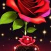 orin.shah