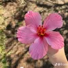 conchi_525