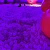 rubyhaf123