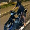 zalzz55
