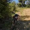 felipezanini80